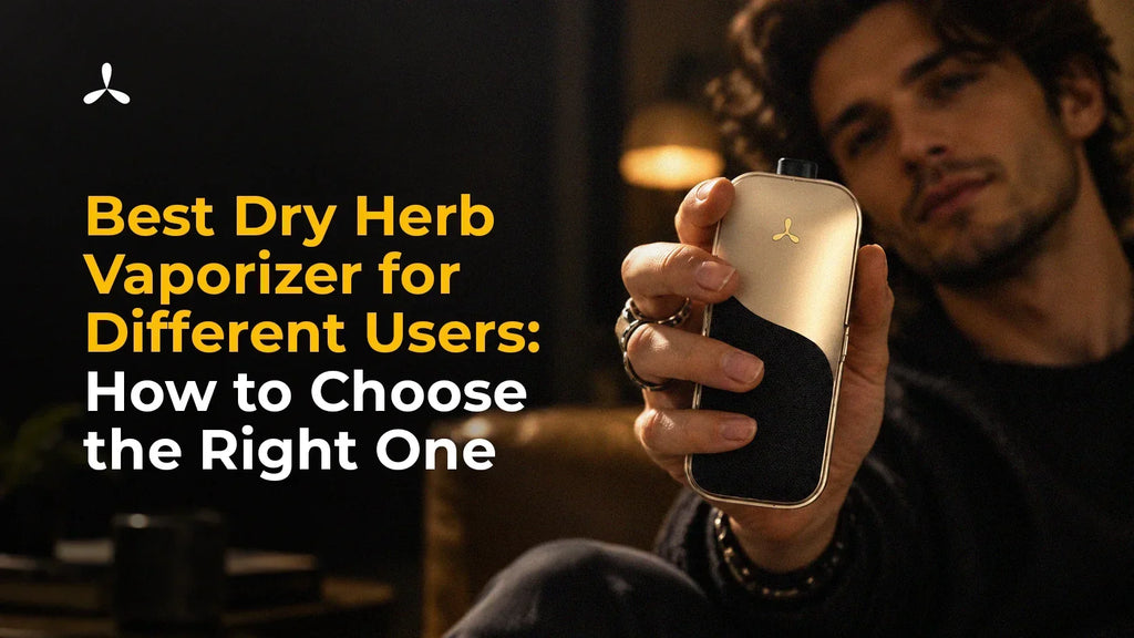 Best Dry Herb Vaporizer for Different Users: How to Choose the Right One