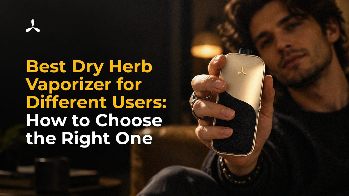 Best Dry Herb Vaporizer for Different Users: How to Choose the Right One