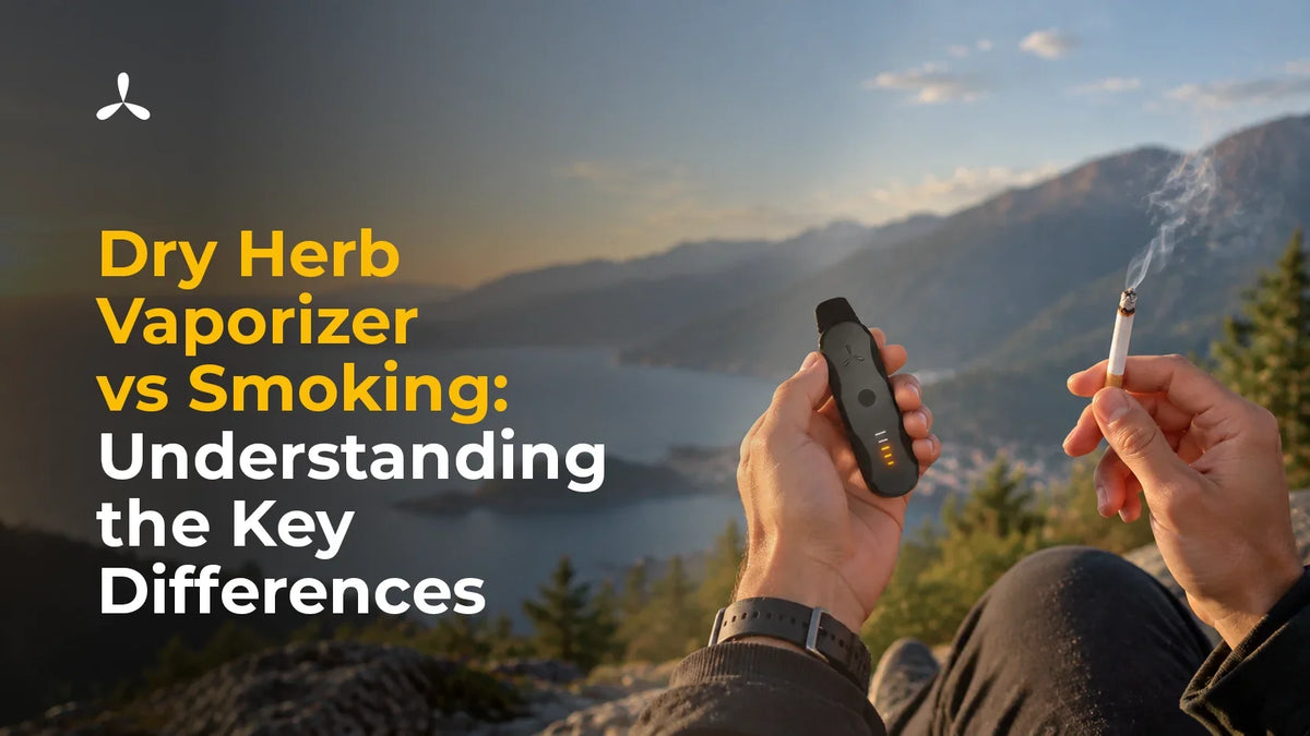 Dry Herb Vaporizer vs Smoking- Understanding the Key Differences