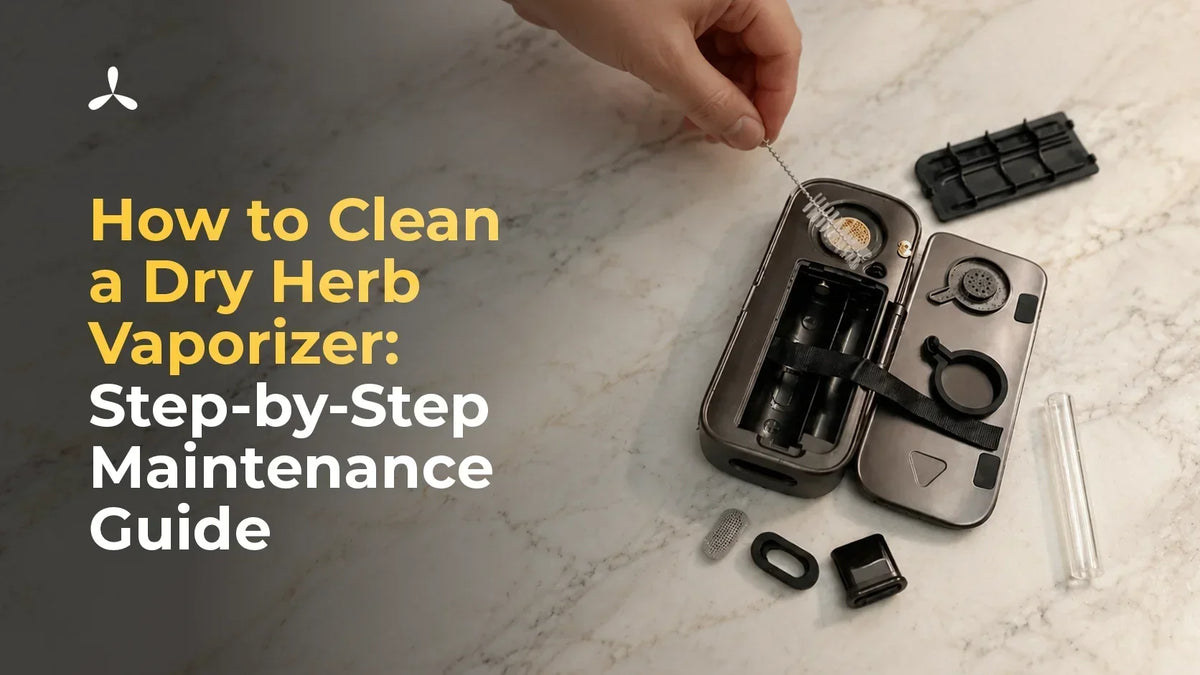How to Clean a Dry Herb Vaporizer: Step-by-Step Maintenance Guide