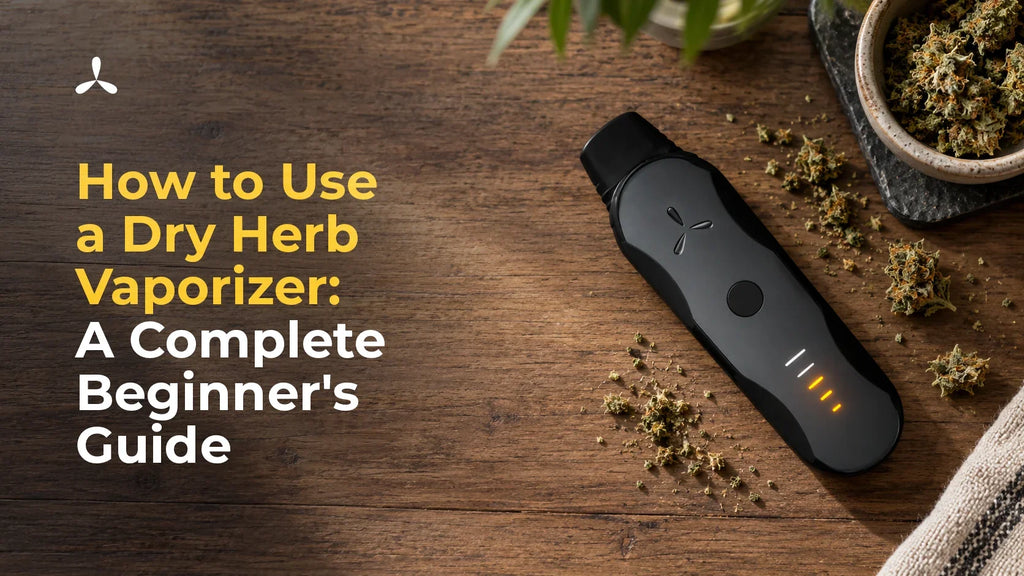How to Use a Dry Herb Vaporizer: A Complete Beginner's Guide