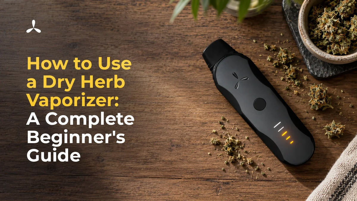 How to Use a Dry Herb Vaporizer: A Complete Beginner's Guide