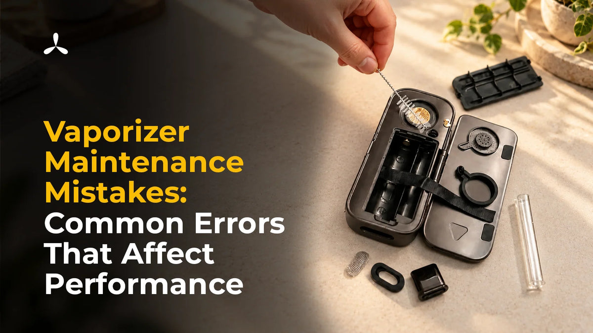 Vaporizer Maintenance Mistakes: Common Errors That Affect Performance